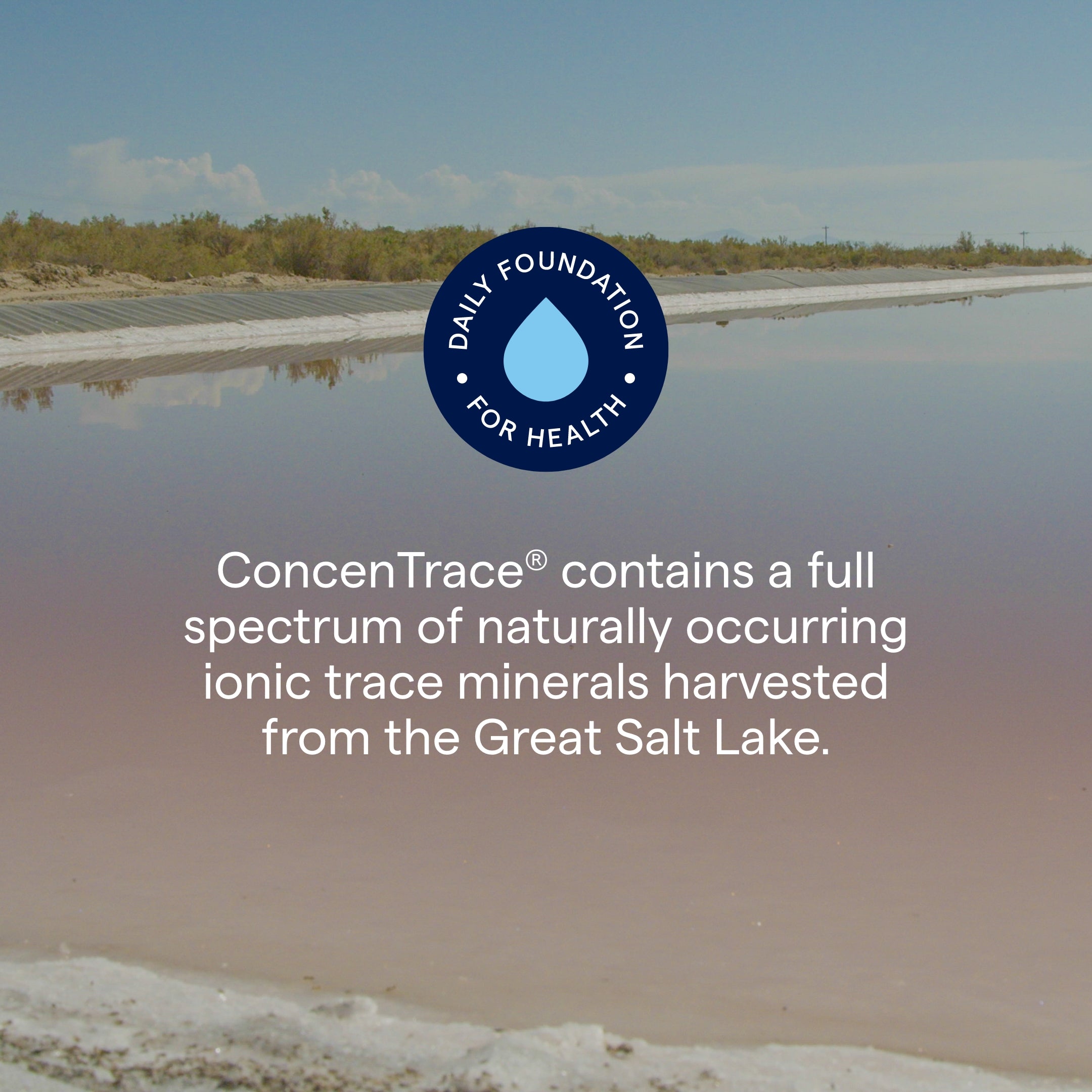 ConcenTrace® Trace Mineral Drops