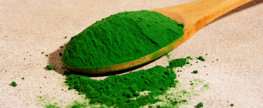 A Spoonful Of Fine Green Powder Answering The Question, “What Is Spirulina?”